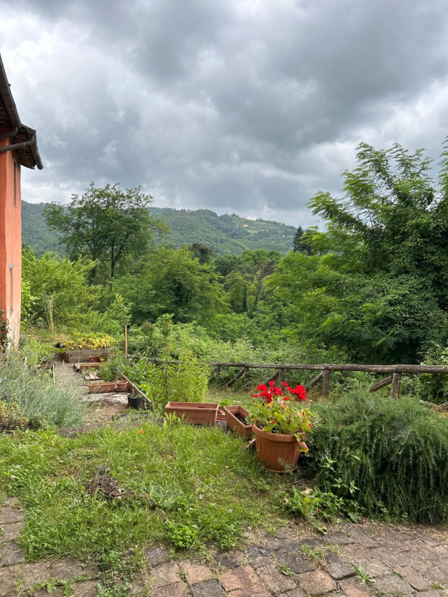 Casa Octavia Bed & Breakfast San Martino in Freddana Eksteriør bilde
